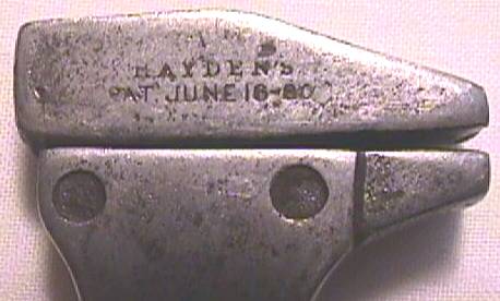 Hayden2.jpg (21398 bytes)